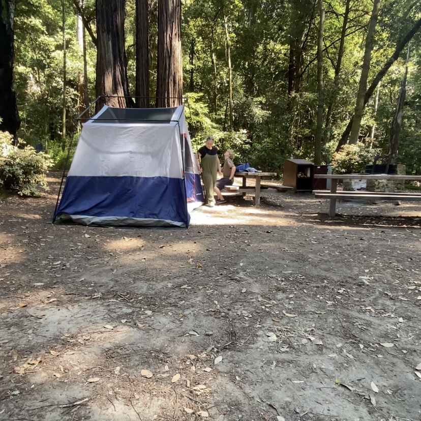 Not Homeless